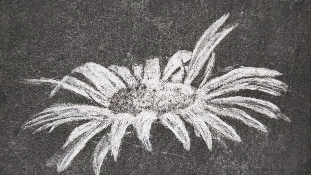 Atelier clair-obscur, une approche décalée du fusain