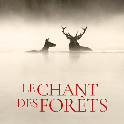 Le chant des forêts
