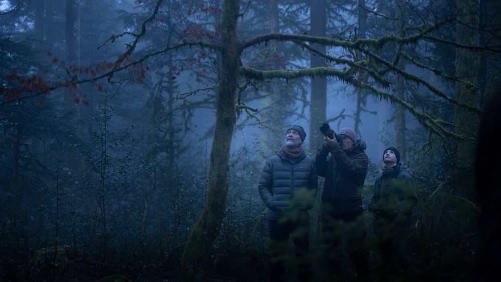Le chant des forêts