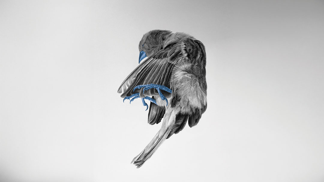 Michaël GUERRA - Carnale Corpus