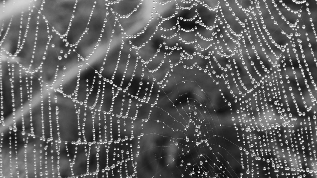 Images poétiques
