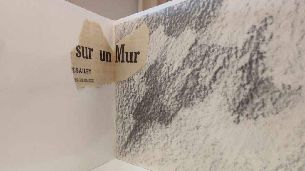Jeux de mots et d’images